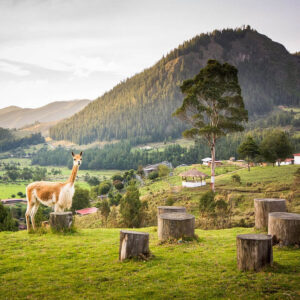 GRANJAPORCON Y VENTANILLAS DE OTUZCO
